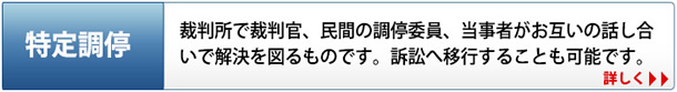 特定調停とは